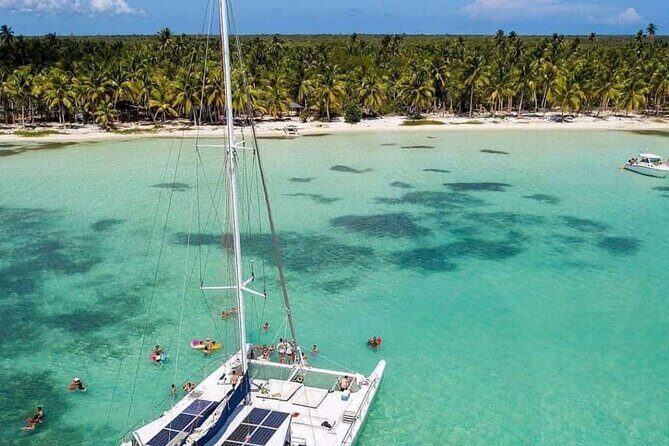 Saona Island Day Trip with Lunch, Transportation and Drinks - An Authentic Day Out in the Dominican Republic: What to Expect
