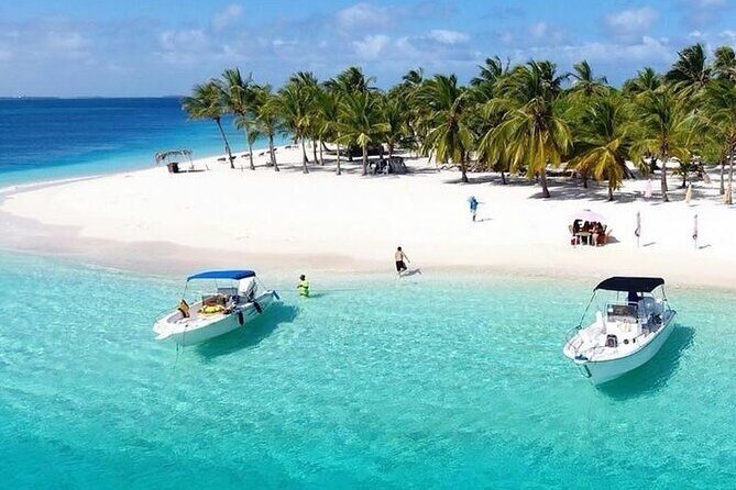 Saona Island Day Trip with Lunch, Transportation and Drinks - Who Should Book This Tour?