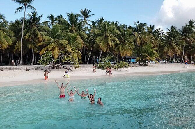 Saona Island Escape Caribbean Paradise Awaits - Key Points