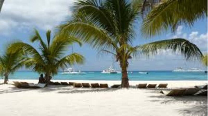 Saona Island: Exclusive Tour with Lunch - Who Would Love This Tour?