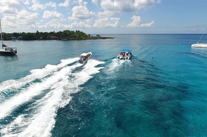 Saona Island Excursion by Catamaran and Speedboat - Authenticity and Value: What Travelers Say