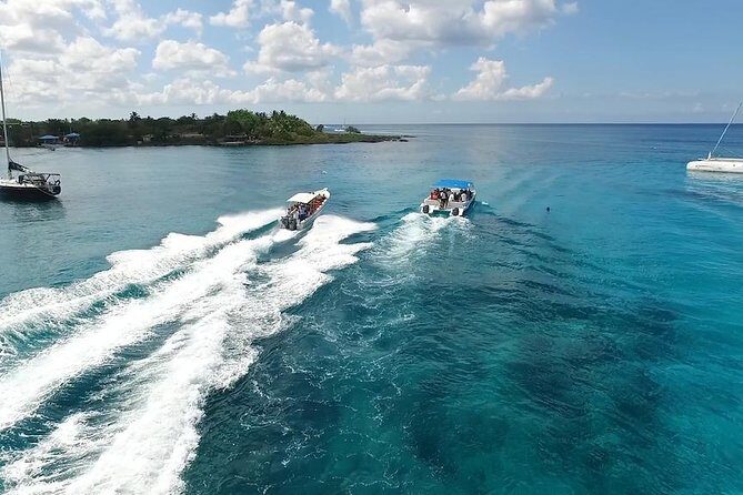 Saona Island Excursion by Catamaran and Speedboat - Who Will Love This Tour?