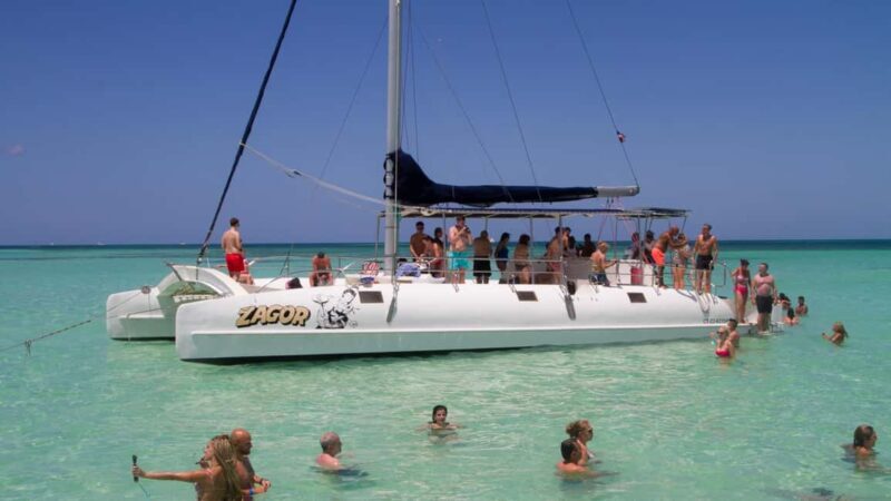 Saona Island Excursion from Punta Cana - What We Love About This Tour