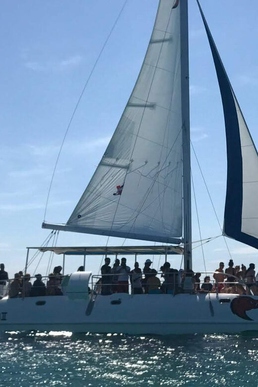 Saona Island Excursion from Punta Cana - Experience Provider: Melao Travel