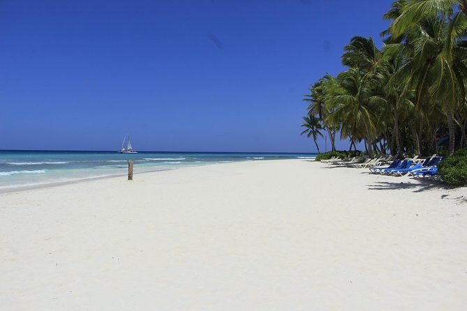 Saona Island Excursion From Punta Cana - FAQ