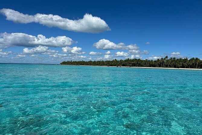 Saona Island for Marella Discovery Passengers from La Romana Port - Who Should Consider This Tour?