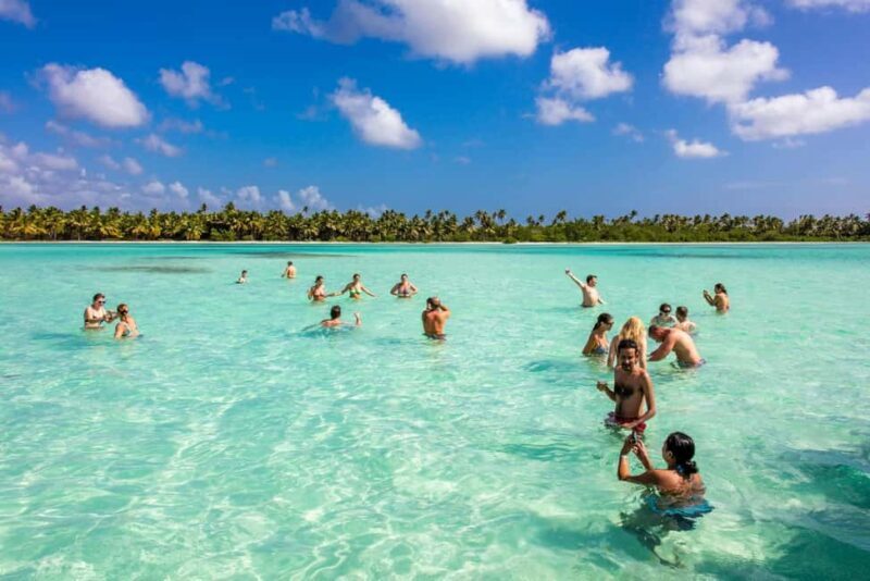Saona Island from Punta Cana Day Trip with Open Bar - Who Should Consider This Tour?