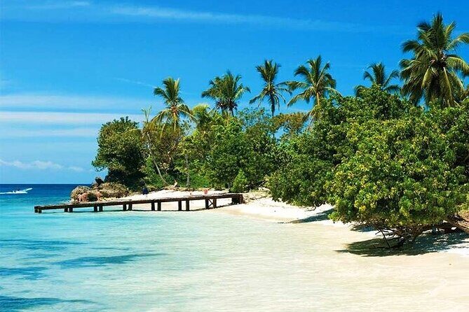 Saona Island from Punta Cana with Transportation and Lunch Included - Who Will Love This Tour?