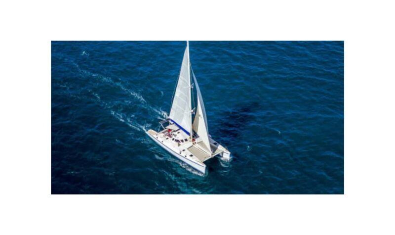 Saona Island From Santo Domingo With Catamaran, Food & Drink - Key Points