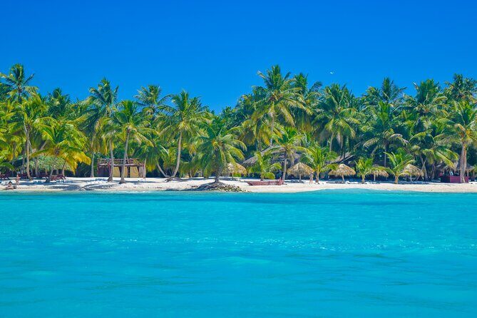 Saona Island Full-Day All-Inclusive Tour from Santo Domingo - Key Points