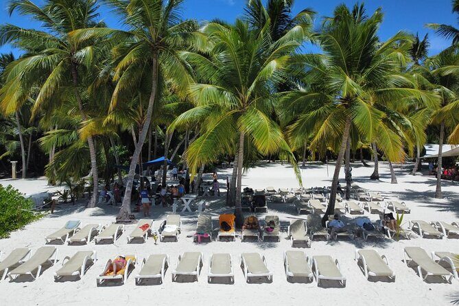 Saona Island: Full-day Catamaran Tour - Small Group - A Deep Dive into the Saona Island Experience