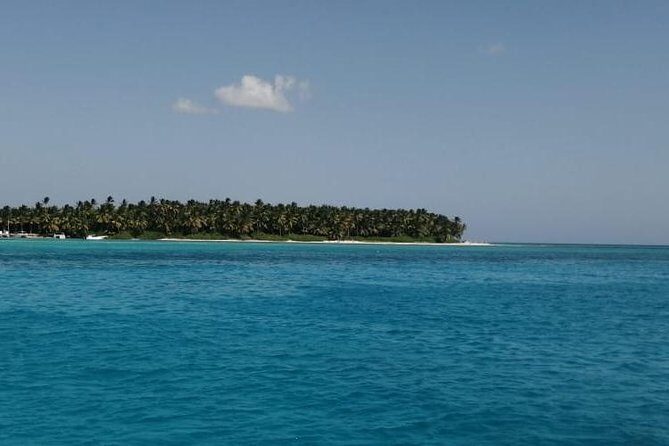 Saona Island Full Day From Punta Cana - The Value of This Tour
