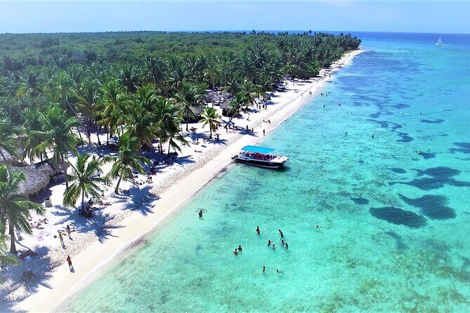 Saona Island Full-Day Tour from Boca Chica - A Detailed Look at the Saona Island Full-Day Tour from Boca Chica