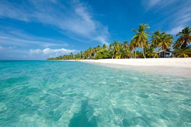 Saona Island Full-Day Tour from Punta Cana Bayahibe All Inclusive - Authentic Experiences That Stand Out
