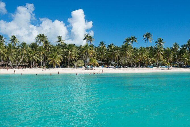 Saona Island Full-Day Tour from Santo Domingo with Pickup - Who Should Consider This Tour?
