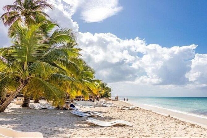 Saona Island Full-Day Tour with Lunch from Punta Cana - Who Will Enjoy This Tour?