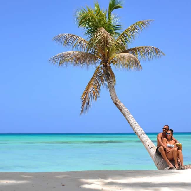 Saona Island: Full-Day Tour with Snorkeling and Lunch - Practical Details and Considerations