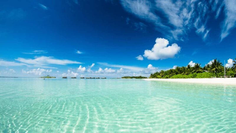 Saona Island: Hidden Beach & Natural Pool - Dining on the Beach: Authentic Dominican Flavors