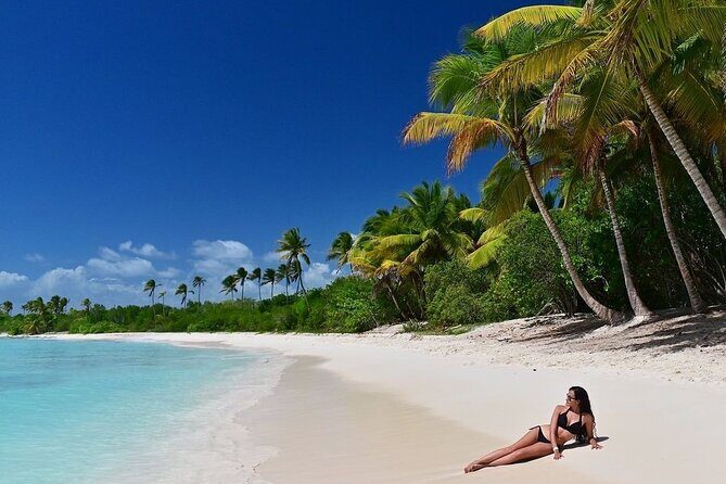 Saona Island, memorable all-inclusive experience, from Santo Domingo. - An Authentic Caribbean Day at Isla Saona — From Santo Domingo