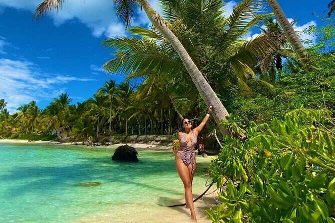 Saona Island, memorable all-inclusive experience, from Santo Domingo. - Key Points