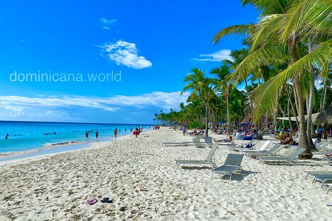Saona Island, Natural pool Starfish, Fast boat, Catamaran +Dances - Evaluating the Value