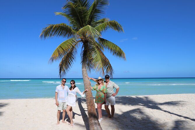 Saona Island One Day in Paradise Small Group - Discover the Magic of Saona Island on a Private One-Day Tour