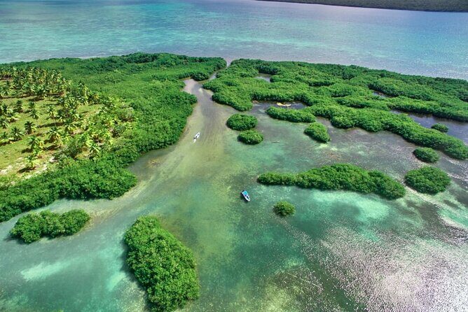 Saona Island One Day in Paradise Small Group - Final Thoughts: Is This Tour Worth It?