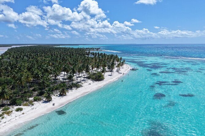 Saona Island Premium Discovery Tour from Punta Cana or Bayahíbe - Overview of the Saona Island Premium Discovery Tour
