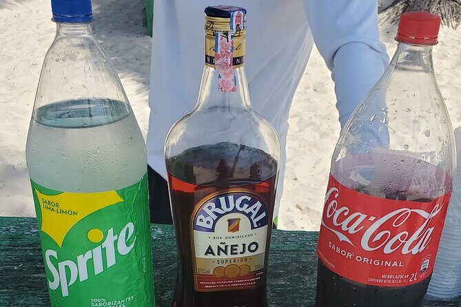 Saona Island Premium Discovery Tour from Punta Cana or Bayahíbe - Who Is This Tour Best Suited For?