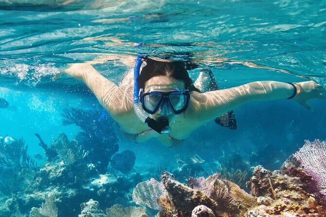 Saona Island : Punta Cana All Inclusive - Final Thoughts: Worth the Price?