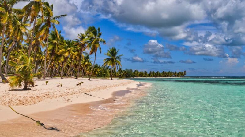 Saona Island: Punta Cana All-Inclusive - Experience the Charm of Saona Island: Punta Cana All-Inclusive Tour