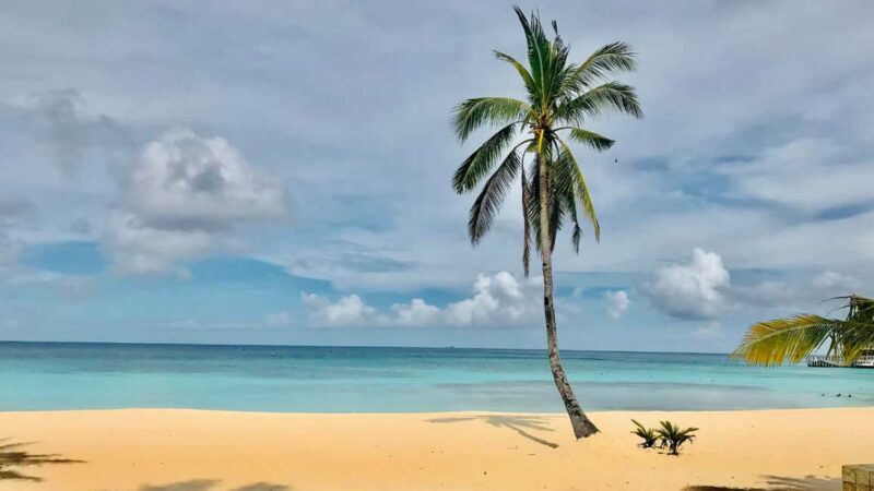 Saona Island: Punta Cana All-Inclusive - Authenticity and Cultural Touches