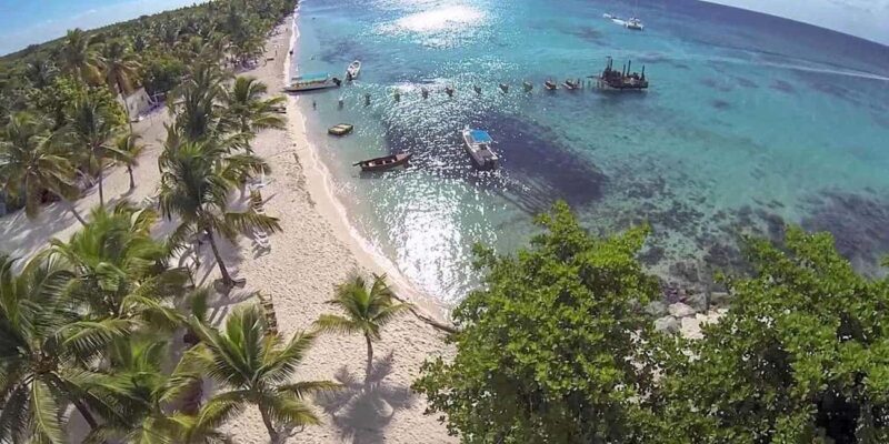 Saona Island: Relaxation Day Trip with Open Bar - An In-Depth Look at the Saona Island Experience