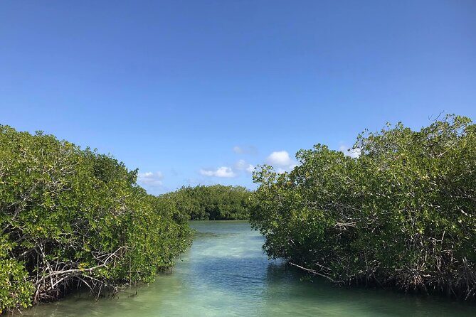 SAONA ISLAND - Rhythm, Rum & Radiant Beaches - PUNTA CANA - Key Points