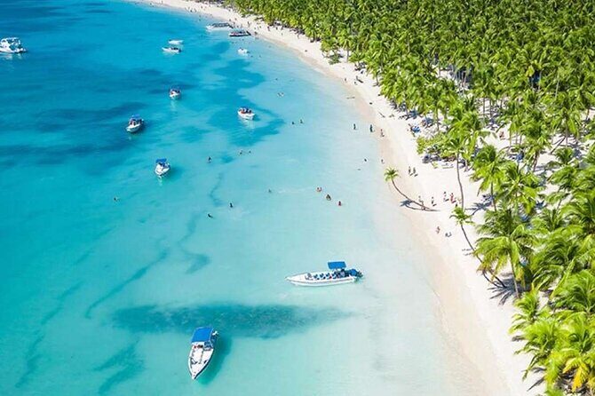 SAONA ISLAND - Rhythm, Rum & Radiant Beaches - PUNTA CANA - Authentic Experiences and Real Traveler Insights