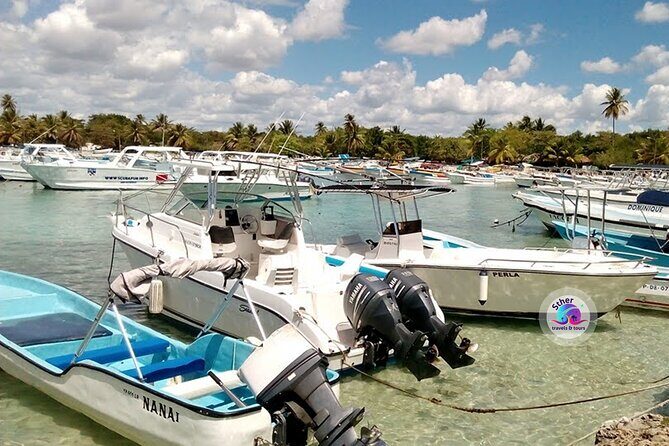 SAONA ISLAND - Rhythm, Rum & Radiant Beaches - PUNTA CANA - The Sum Up: Why Choose This Experience?