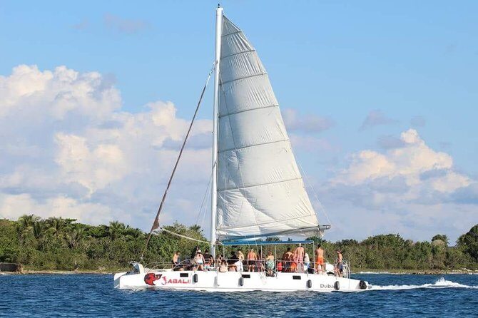 Saona Island Sailing Tour - All Inclusive - What’s Included and How It Works
