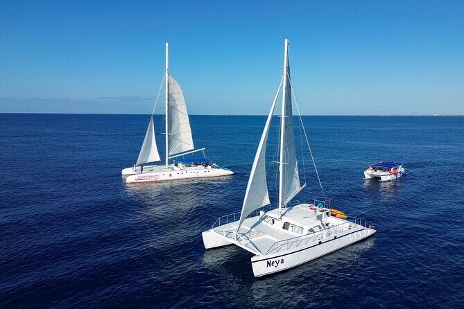 Saona Island Sailing Tour - All Inclusive - The Challenges: Organizational and Experience Variations