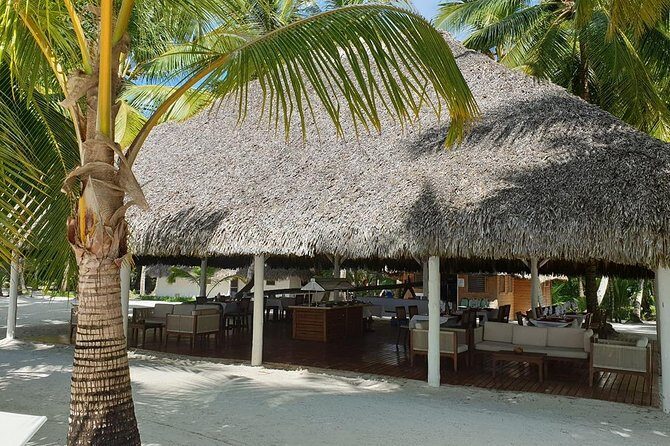 Saona Island small group and relax - luxury catamaran - Who Will Love This Tour?