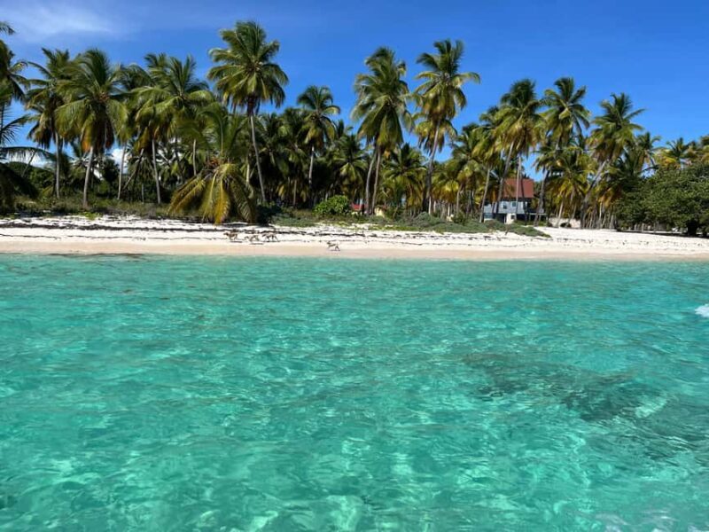 Saona Island: Small Group Virgin Beaches Cruise Day Trip - A Deep Dive into the Experience