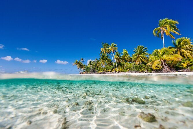 Saona Island The Virgin Part No One Knows - Experience the Quiet Charm of Saona Island: The Virgin Part No One Knows
