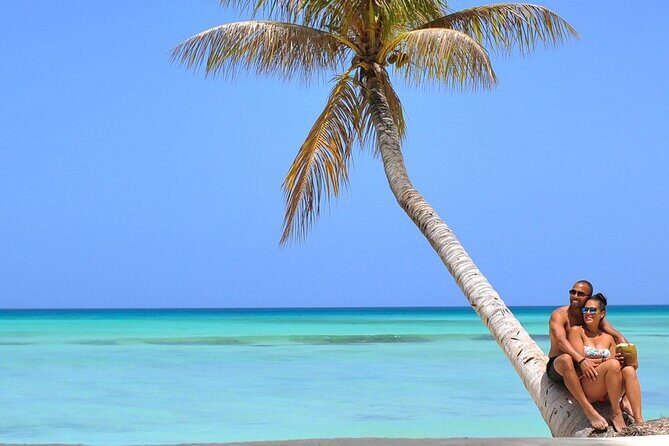 Saona Island tour: All buffet, speedboat catamaran - Key Points