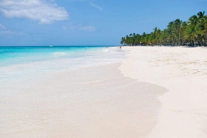 Saona Island Tour From Punta Cana - Who Should Consider This Tour?