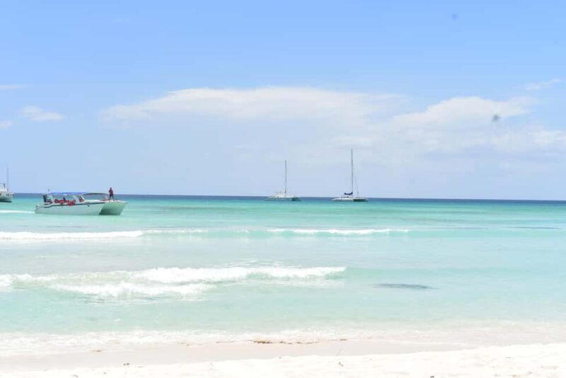 Saona Island Tour from Santo Domingo with Lunch - What Makes This Tour Stand Out?