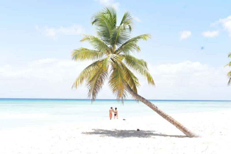 Saona Island Tour from Santo Domingo with Lunch - Authentic Experiences and Value