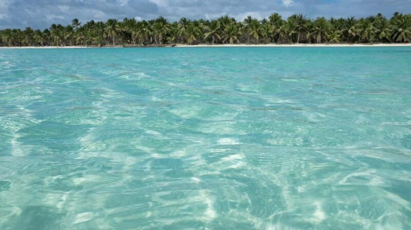 Saona Island: Tour with Lunch and Drinks - The Experience in Detail