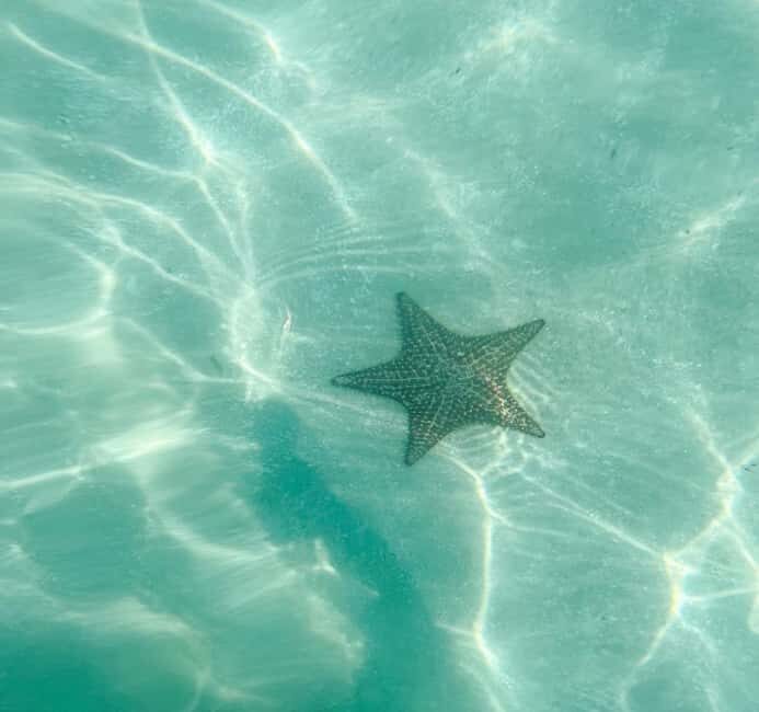 Saona Island VIP: 4 Beaches , Mano Juan & Canto de la Playa - Final Thoughts: Is This Tour Right for You?