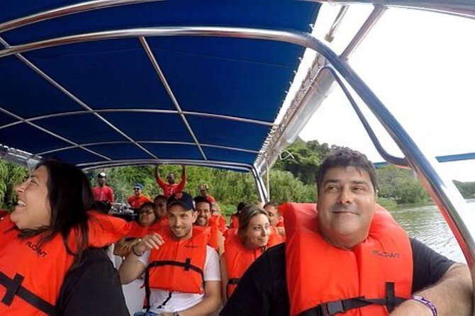 Saona Island VIP Full Day All Inclusive Excursion - A Practical Look at the Saona Island VIP Full Day All-Inclusive Excursion