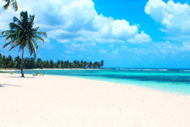 Saona Island VIP Full Day All Inclusive Excursion - Key Points