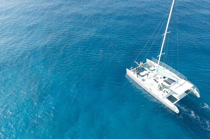 Saona Paradise Island : Catamaran, Natural Pool and Typical Lunch - Why This Tour Offers Great Value